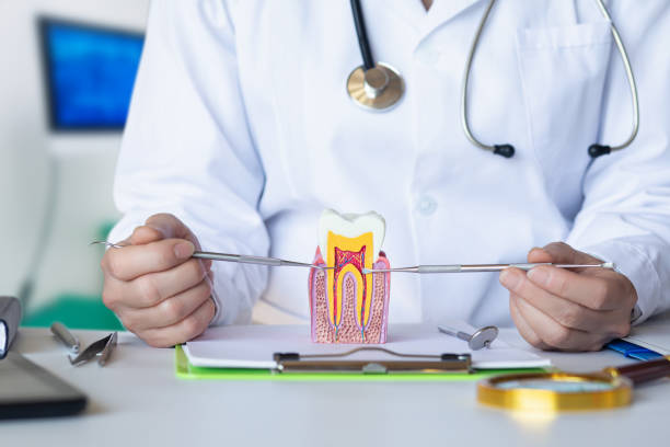 Best Cracked Tooth Emergency Dentist  in Avila Beach, CA